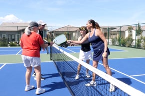 pickleball-partners