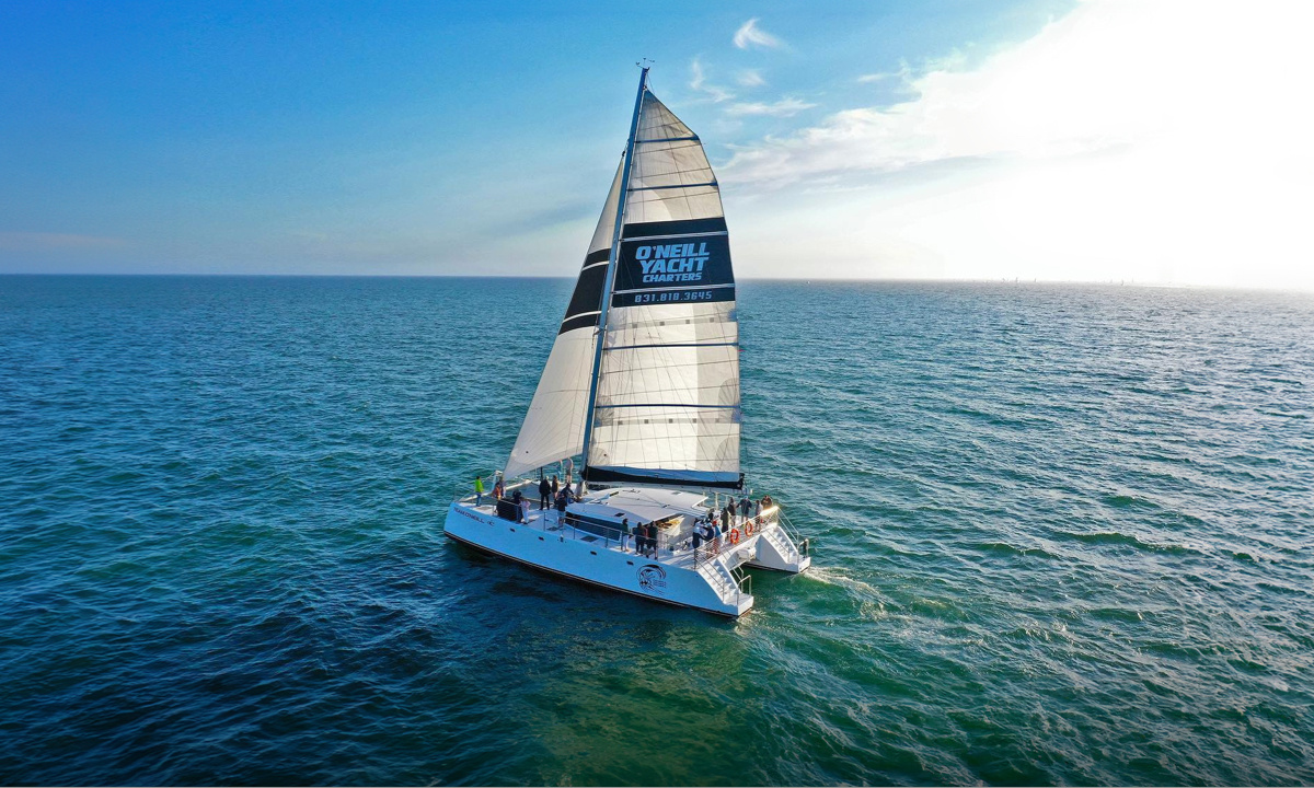 Cruise - August-1